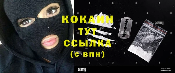 крисы Абаза
