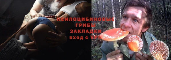 крисы Абаза