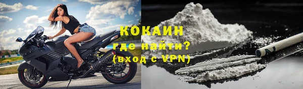 крисы Абаза