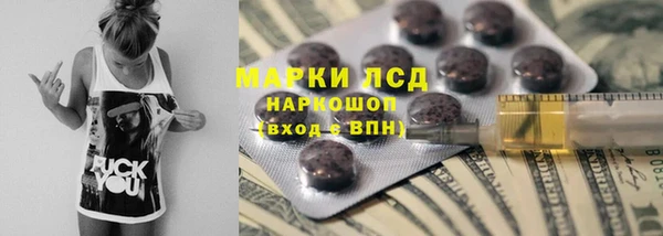 крисы Абаза