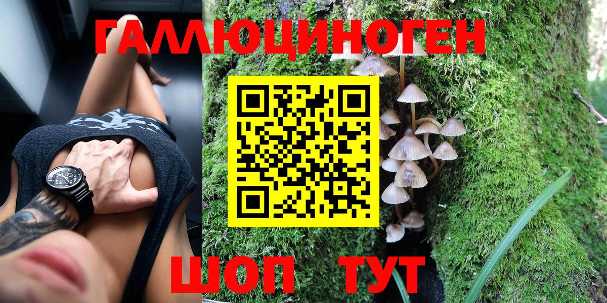 Псилоцибиновые грибы Psilocybe Дивногорск